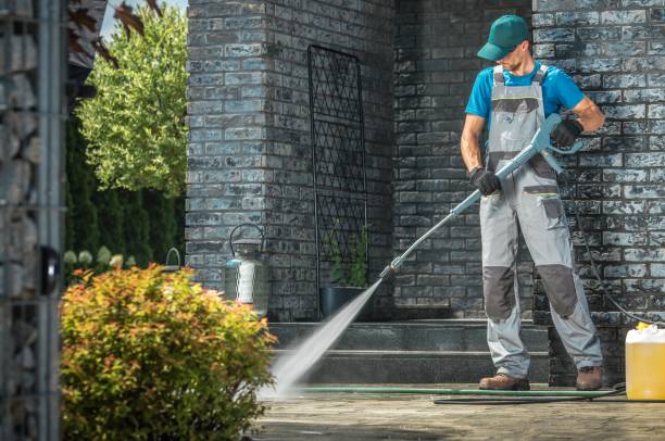 Best Graffiti Removal  in Holley, FL