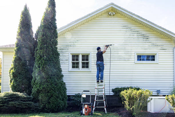 Best Dumpster Area Cleaning  in Holley, FL